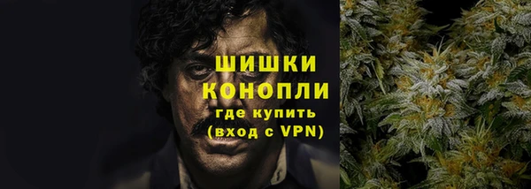 крисы Тольятти