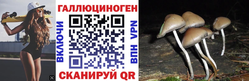где продают   Екатеринбург  Галлюциногенные грибы ЛСД 